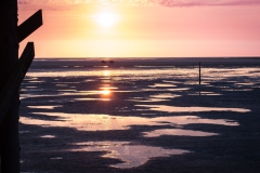 DSCF0976